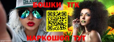 СК Дубна