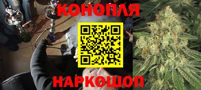 СК Дубна