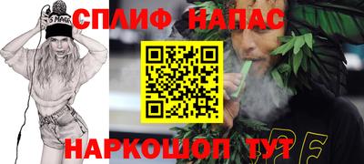 СК Дубна