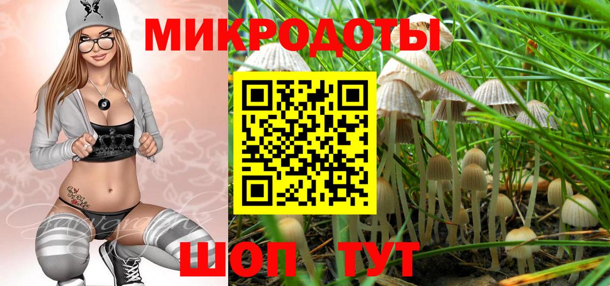 Псилоцибиновые грибы прущие грибы Заринск